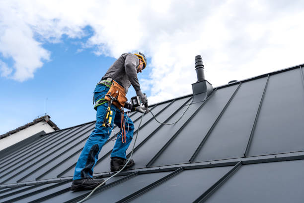 Best Chimney Flashing Repair  in Cudahy, WI